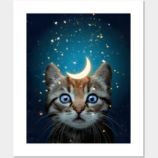 Moon Cat Posters and Art